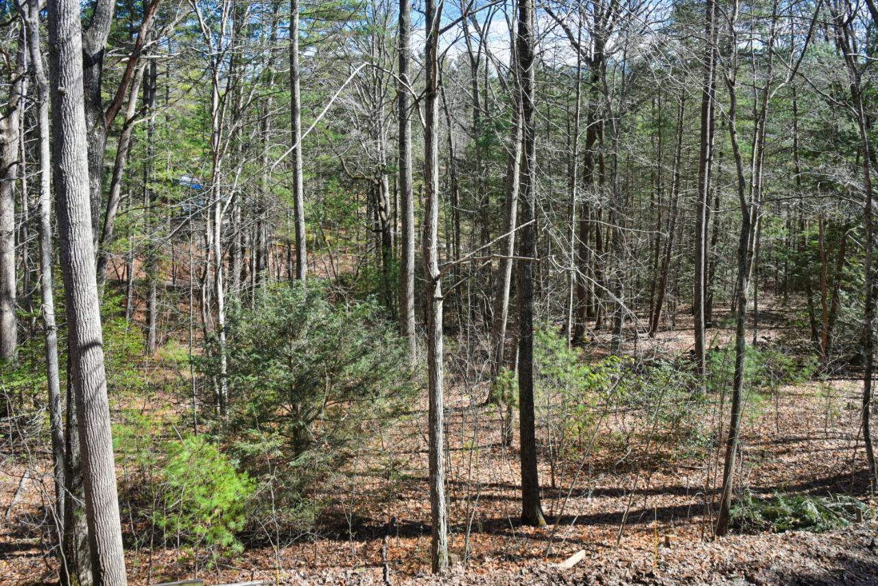 The Camby Cabin Just 12 Miles To Downtown Asheville Exterior photo